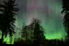 AuroraNovember7-820041Small.jpg (78855 bytes)